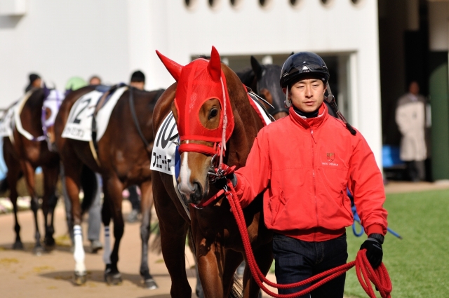 中山競馬場　３歳未勝利戦パドック フェニーチェ