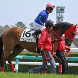 ３ヶ月ぶりの中山競馬場　本馬場入場