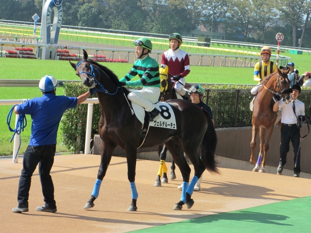 メイクデビュー ヴェルデルーチェ