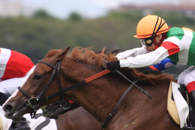 新馬戦レース３ アリスマイン
