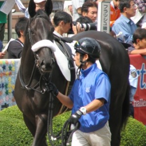 2011.09.25 中山　2歳新馬　芝1600m