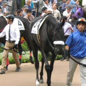 2011.09.25　中山　2歳新馬　芝1600m