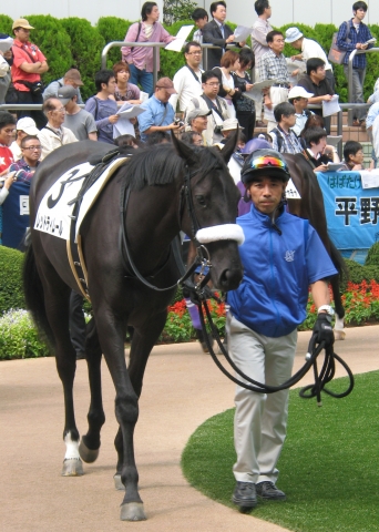 2011.09.25　中山　2歳新馬　芝1600m レッドティムール