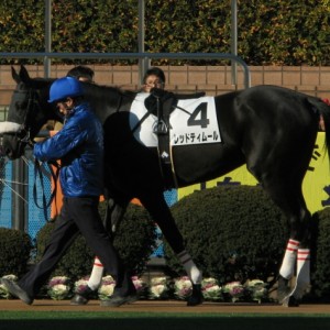 2012.01.08 中山　3歳未勝利　ダ1800m