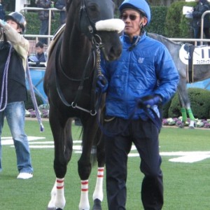 2012.01.08 中山　3歳未勝利　ダ1800m