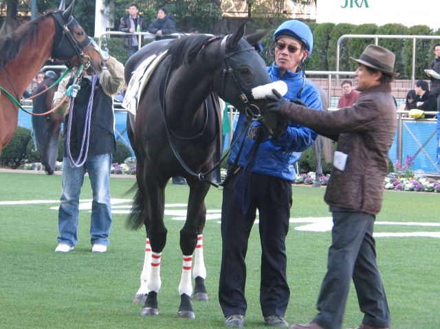 2012.01.08 中山　3歳未勝利　ダ1800m レッドティムール