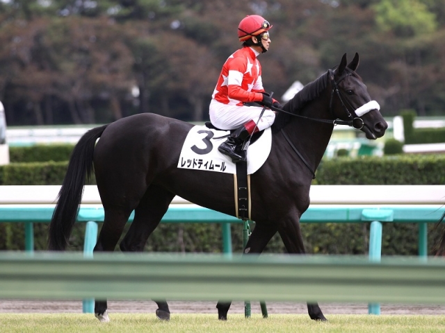 2011年9月25日 中山5R 芝1600 新馬戦 レッドティムール
