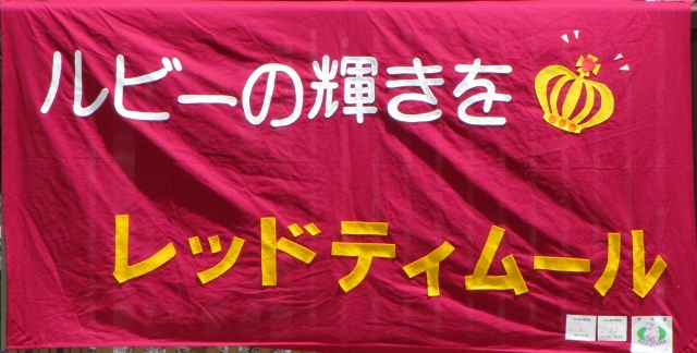 横断幕♪ レッドティムール