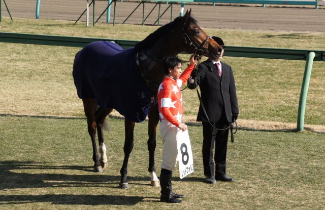 1月14日　中山　新馬 レッドフォルツァ