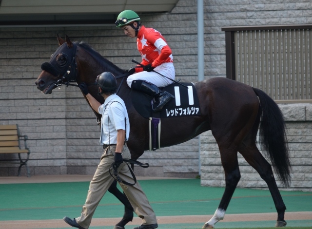 10月12日　昇仙峡特別 レッドフォルツァ