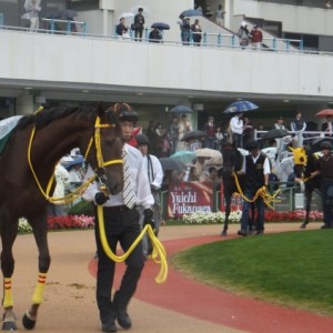 11月5日 京都11R ﾌｧﾝﾀｼﾞｰS GⅢ浜中俊騎手