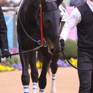 2011.3.18 新馬戦