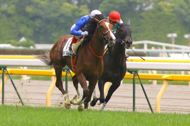 2012.5.26 3歳500万下 セプタードアイル