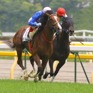 2012.5.26 3歳500万下