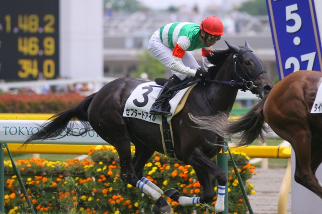 2012.5.26 3歳500万下 セプタードアイル