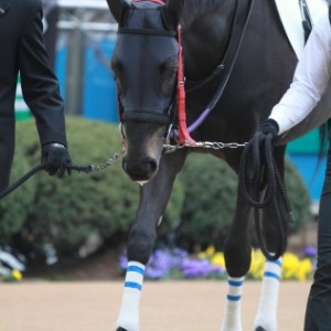 新馬戦0002