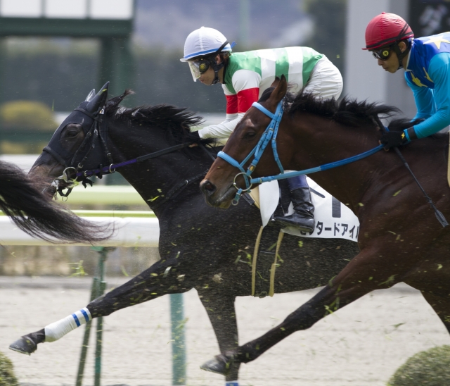 0408未勝利0004 セプタードアイル