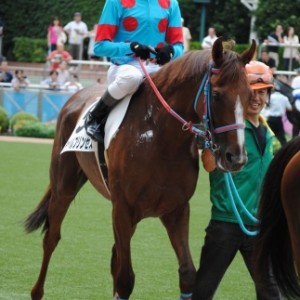 9/16 中山4R 3歳未勝利 芝1600m