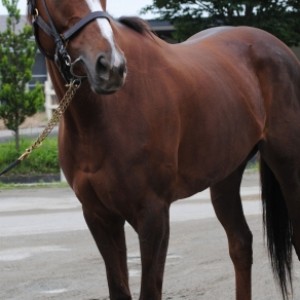 ノーザンファーム天栄にて