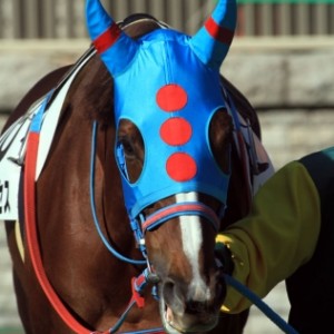 府中3歳以上500万以下パドック