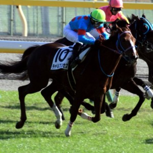 府中3歳以上500万以下直線の攻防