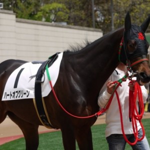 4月21日　京都5R3歳未勝利戦