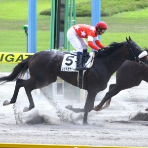 2012.8.12 新潟 3歳未勝利戦 ダ1200