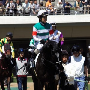 3歳未勝利　パドック
