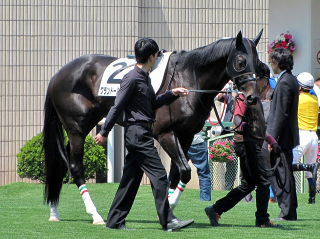 第8戦パドック クランドールゲラン