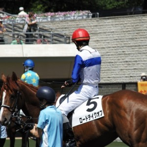 3歳未勝利　パドック