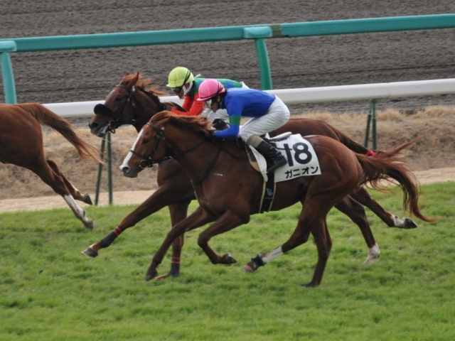 2012.03.25.中山5R未勝利戦　直線　 ガニオン