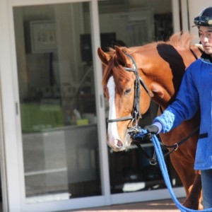 12/25 メイクデビュー中山 パドック