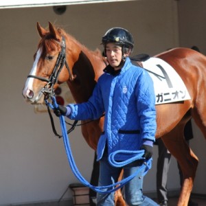 12/25 メイクデビュー中山 パドック