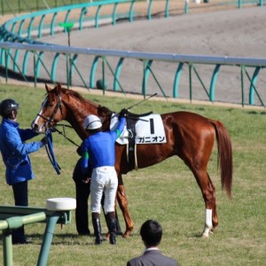 12/25 メイクデビュー中山 レース後