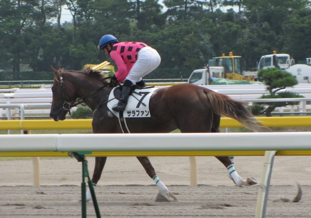 返し馬 サラファン