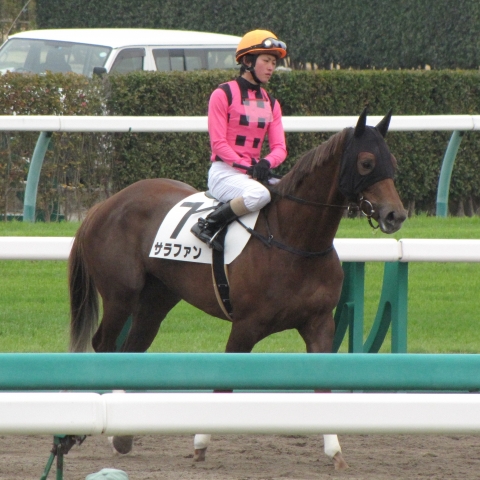 輪乗り サラファン