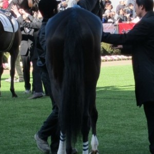 2012.01.05 中山6R 3歳新馬