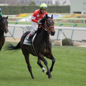 2012.04.08 3歳未勝利返し馬