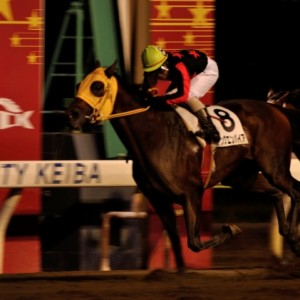 大井競馬　Ｃ２格付け初戦で大井２勝目