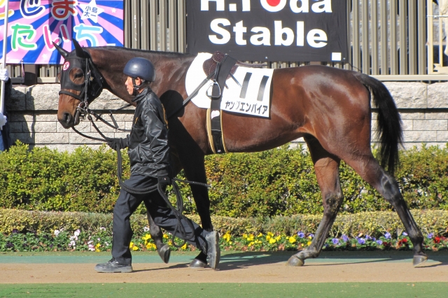 2012.1.29東京7Ｒパドック ヤングエンパイア