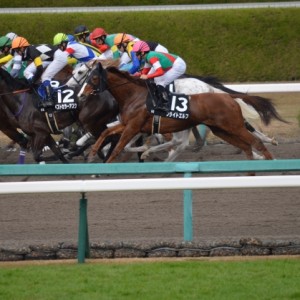 2015年12月12日　姫路特別