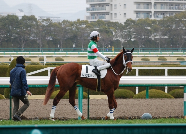 3歳新馬 阪神芝1,600m 7着 フィックルスター