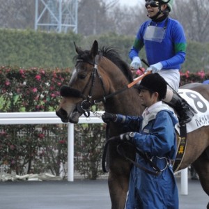 デビュー戦（福島競馬場）　レースを終えて