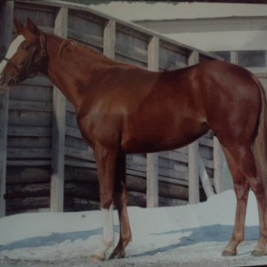 ローレルハイウェイ