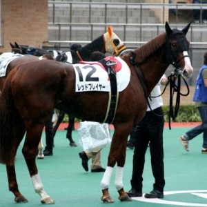 中京競馬場　芝2000ｍ