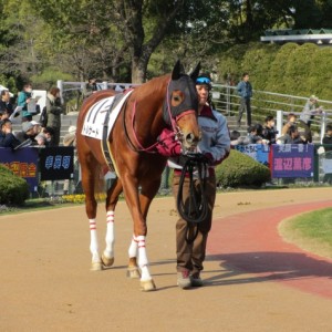 メイクデビュー　パドック