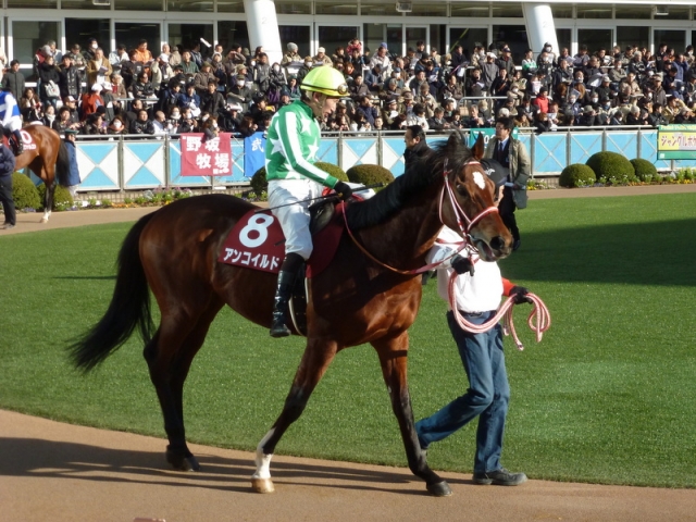 2013/2/24 中山記念 アンコイルド
