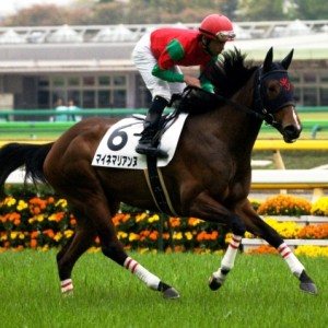 ３戦目返し馬