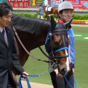 12/05/26 東京 芝1400m（デビュー戦パドック）２