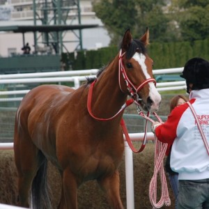 未勝利戦　表彰式